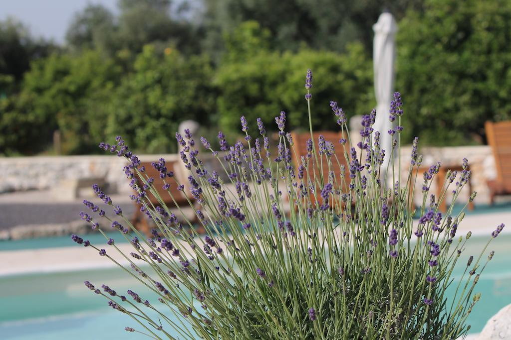 Agriturismo Masseria Saittole Carpignano Salentino Exteriör bild